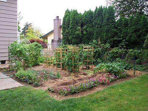 garden space