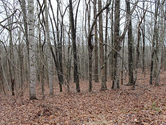 3rd image of 184 Beachwood Dr Lot 36