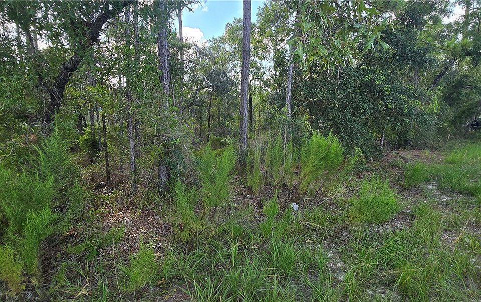 2nd image of 15281 Mottled Owl Rd
