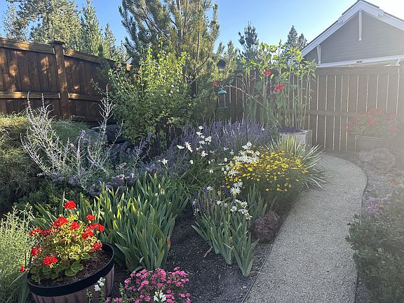 beautiful back garden