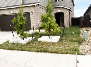2105 Ebony Dove St, Round Rock, TX 78664