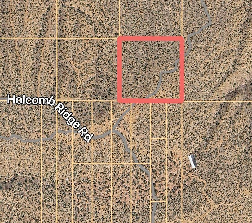 1st image of Vic Holcomb Rdg Suite 195