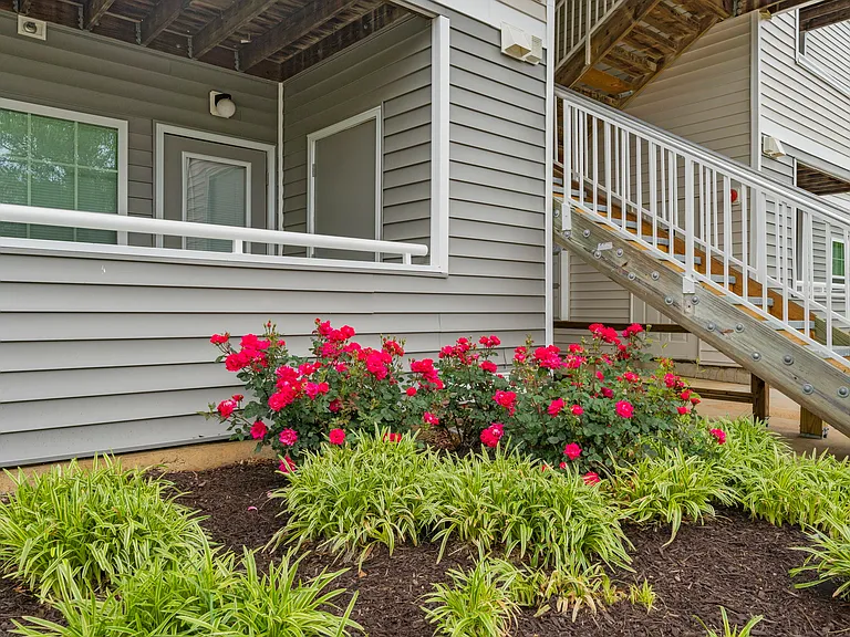 Salem Run Apartment Homes — Photo 38