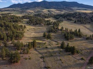 0 Big Buck Rd, Guffey, CO 80820