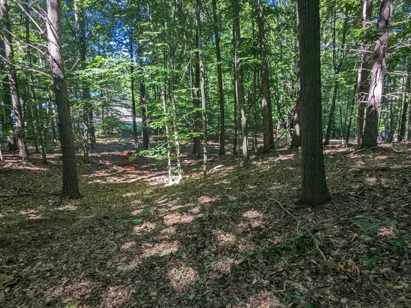 V/l E Kissing Oaks Trl #164, Custer, MI 49405