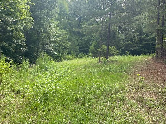 2nd image of 0 Graham Rd