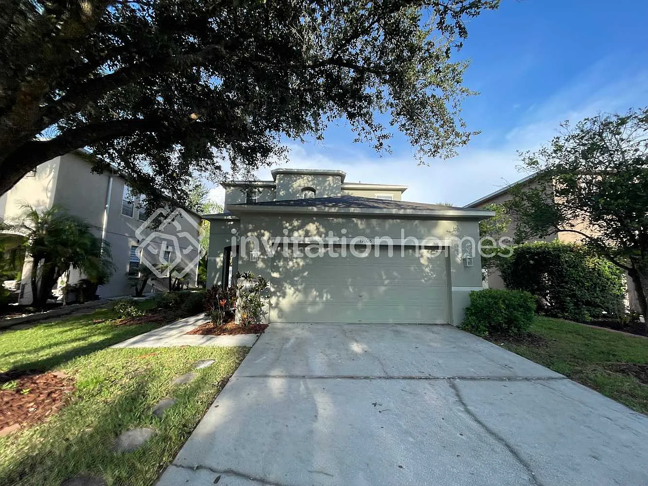 19608 Timberbluff Dr Land O Lakes, FL 34638 — Photo 1