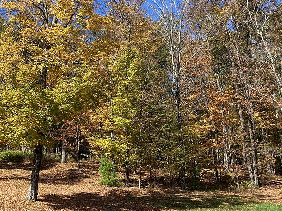 5th image of 287 Game Farm Road