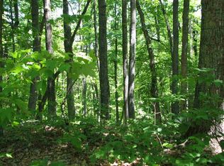 116 N Mitchell St, Rutherfordton, NC 28139