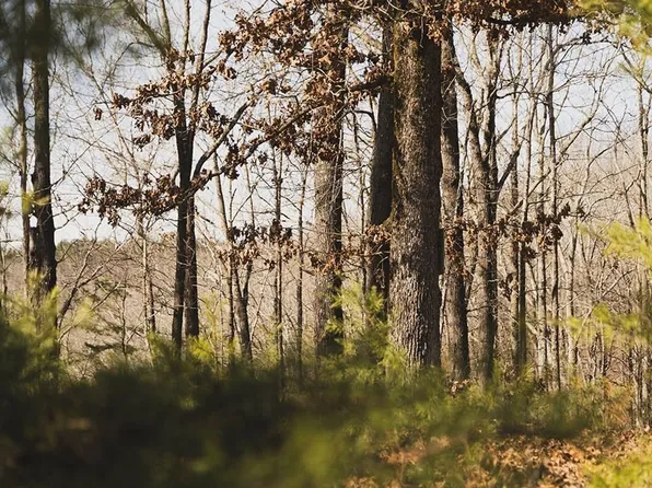 Salting Ground Rd, Cherokee, AL 35616