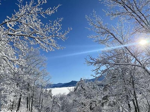 3rd image of 1059 Lower Alpine Way