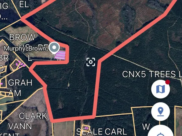 0 Lisbon Road, Clarkton, NC 28433