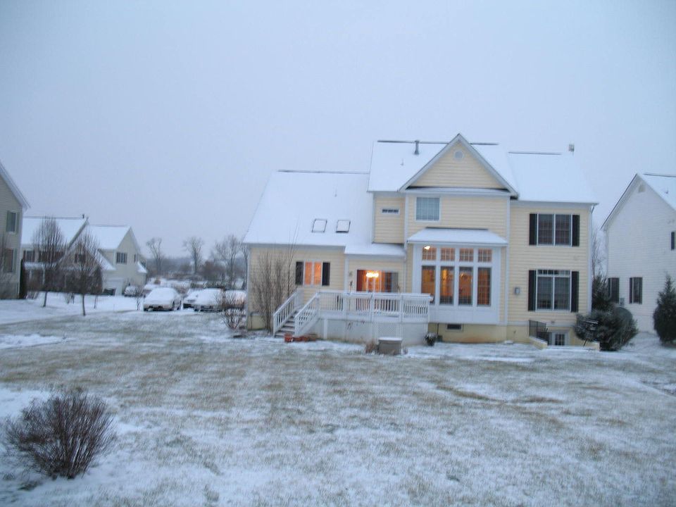 Backyard in snow