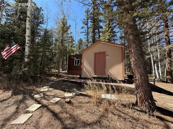 249 Gold Dust Creek Rd, Florissant, CO 80816