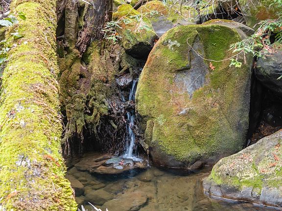 2nd image of 2 Bear Creek Cyn