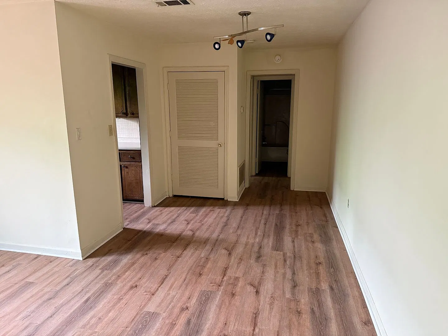 Campus View Apt-Walking Distance to UGA! — Photo 4