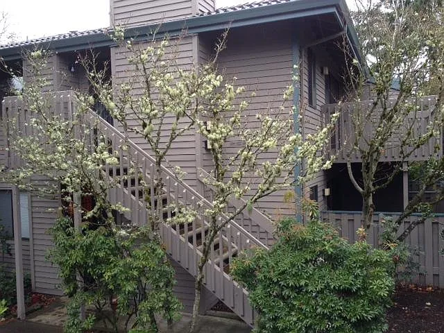 14523 SW Grayling Ln photo 1