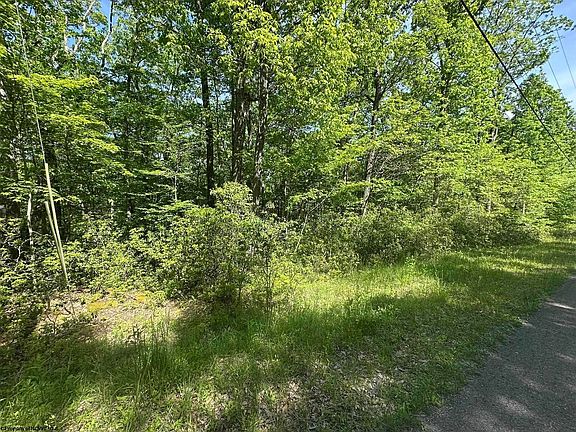 5th image of 65 Pine Dr