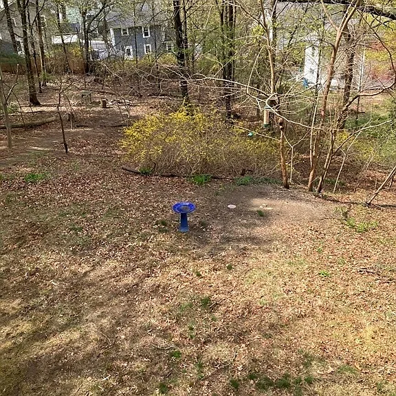View from deck to 0.45 acre fenced yard
