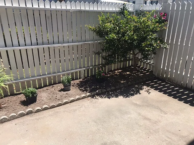 Back yard