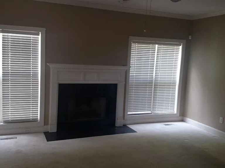 Den with woodburning fireplace