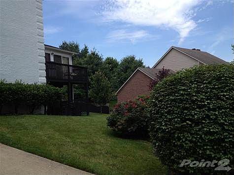 5th image of 805 Broadmoor Cir