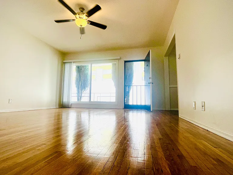 846 Palm Ave #3 — Photo 3