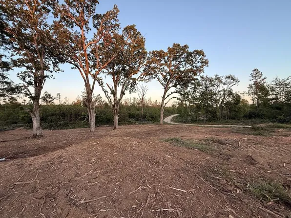 PARCEL 1 Haglersville Rd, Mansfield, TN 38236