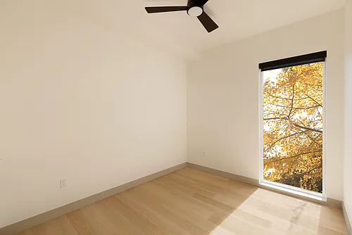 Accent LoHi Photo 1