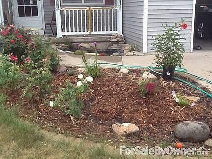 Little garden