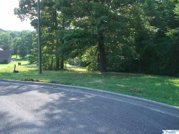 24 Paradise Pl, Scottsboro, AL 35769