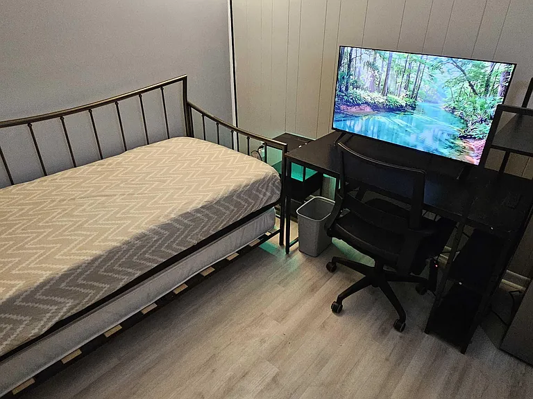Furnished bedroom with a daybed, desk setup, and dresser, offering functional space for sleeping and studying.