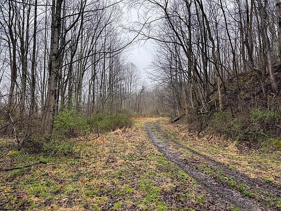4th image of 0 Bear Mountain Rd