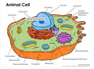 251 Valley Rd NW, Atlanta, GA 30305