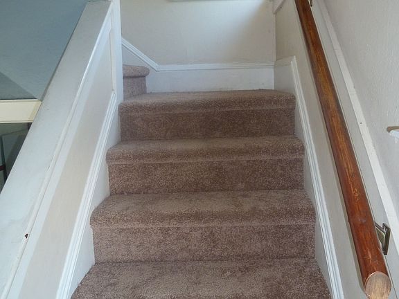 New Carpet - July 11