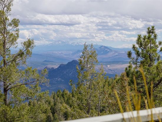 Stephen Berg - 8z Real Estate - Real Estate Agent in Denver