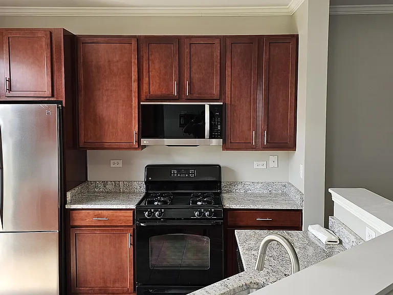 481 Silver Charm Dr — Photo 7