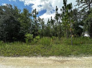 NE 15th Ln Lot 12, Williston, FL 32696