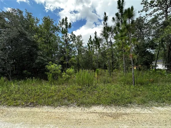 TBD NE 15TH LANE LOT 12, WILLISTON, FL 32696