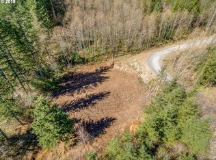 1110 Yale Bridge Rd, Amboy, WA 98601