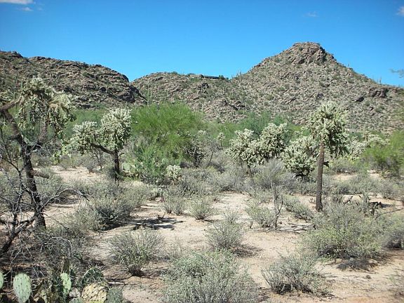 2nd image of 13142 N Lost Wells Trl