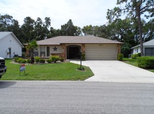 6407 Ocean Pines Ln, Spring Hill, FL 34606
