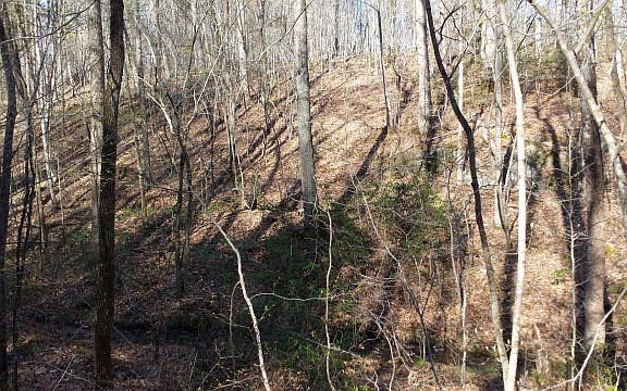 3rd image of 360 Grove Ln