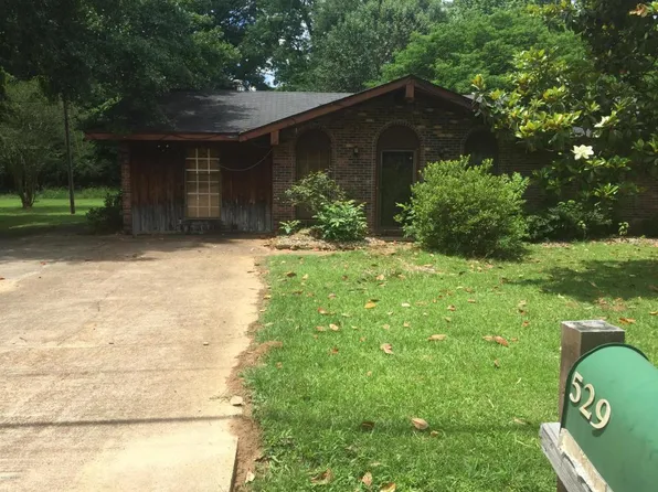 529 Valley View Dr, Philadelphia, MS 39350