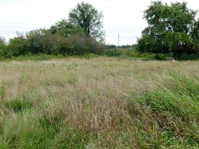 0 Highway 40, Bruce, WI, 54819