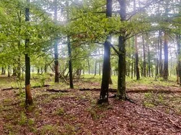450 Apple Trl SW, Bogue Chitto, MS 39629