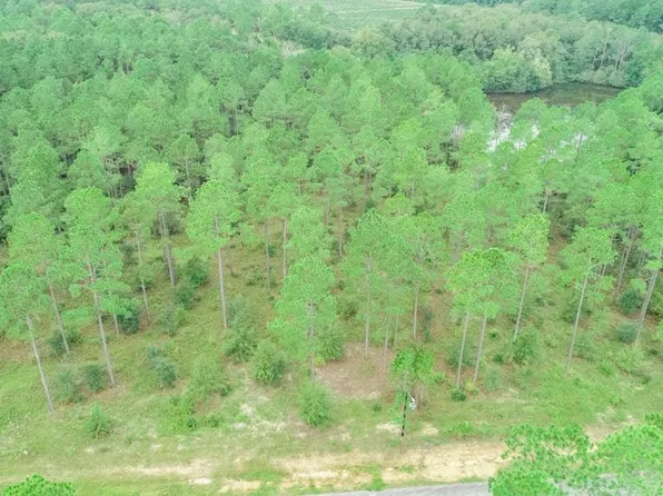 32 Merganser Ln, Moultrie, GA 31768