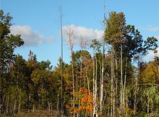 LOT 1 Bradish Rd LOT 1, Glenfield, NY 13343