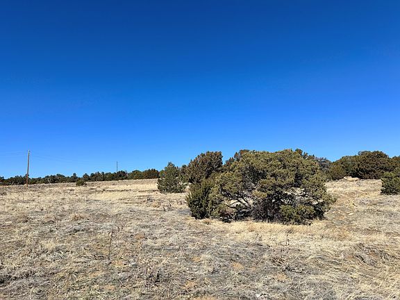 4th image of Rio Cucharas Phase 2 639 Walsenburg #2-639