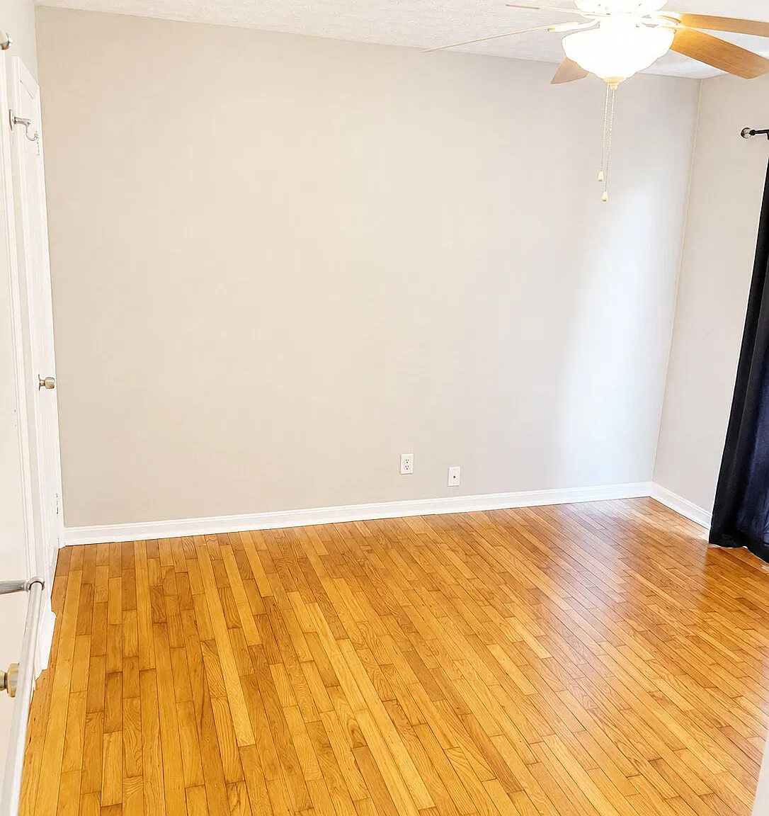 2 bed, 1.0 bath, $1,350 — Photo 3